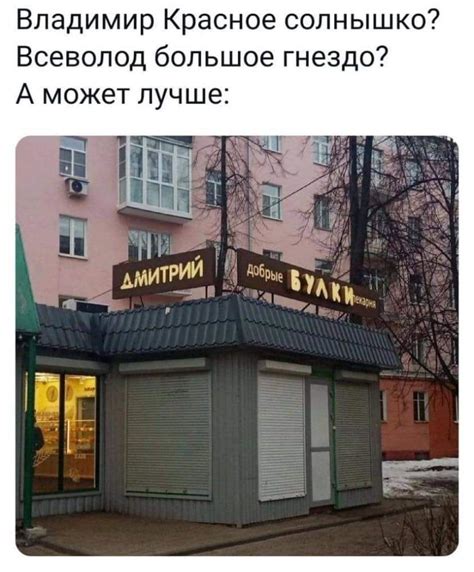 Анализ социальной критики