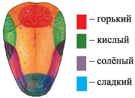 Выбор языка и зоны