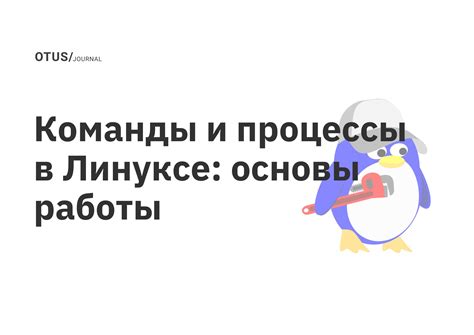 Изменения в операционной системе, влияющие на работу команд