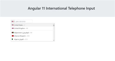 Импорт и подключение Intl tel input