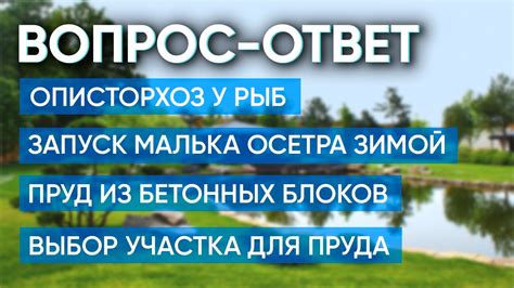 Можно ли использовать другие блоки вместо морского огурца?