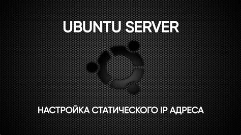 Настройка статического IP-адреса в Kali Linux