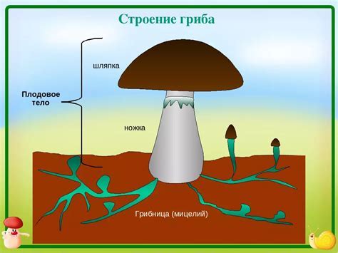 Подготовка перед изменением биома