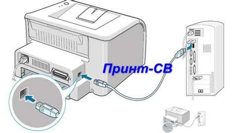 Подробная инструкция для успешной настройки принтера