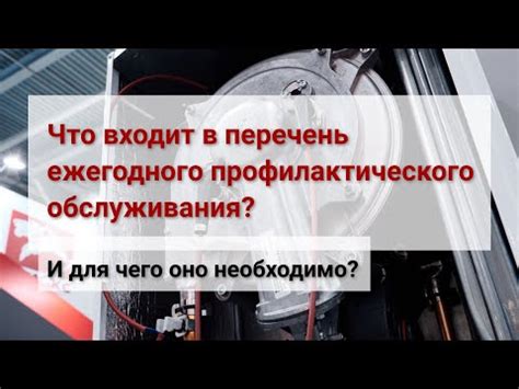 Проведение профилактического обслуживания телефона для предотвращения щелкающих звуков