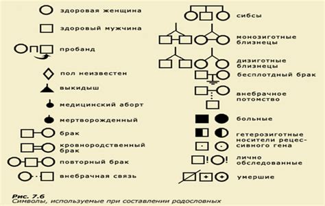 Символы, используемые в повести