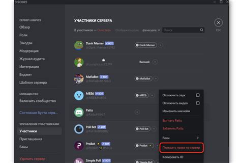 Шаг 3: Установка VUP на сервер Discord